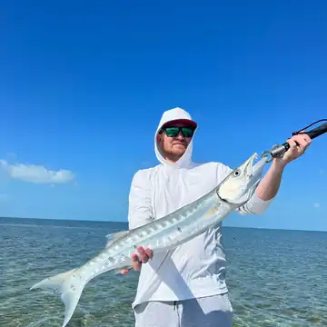 Angler holding a barracuda on the flats near Key West